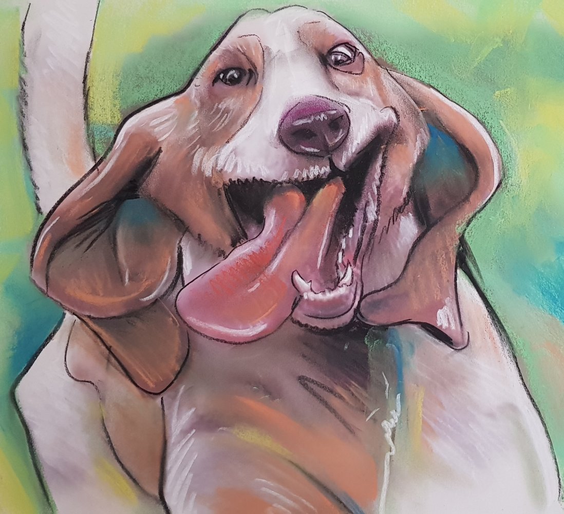 commander un portrait ou une caricature de chien d'après photo commande en ligne pour idée cadeau farbication française
