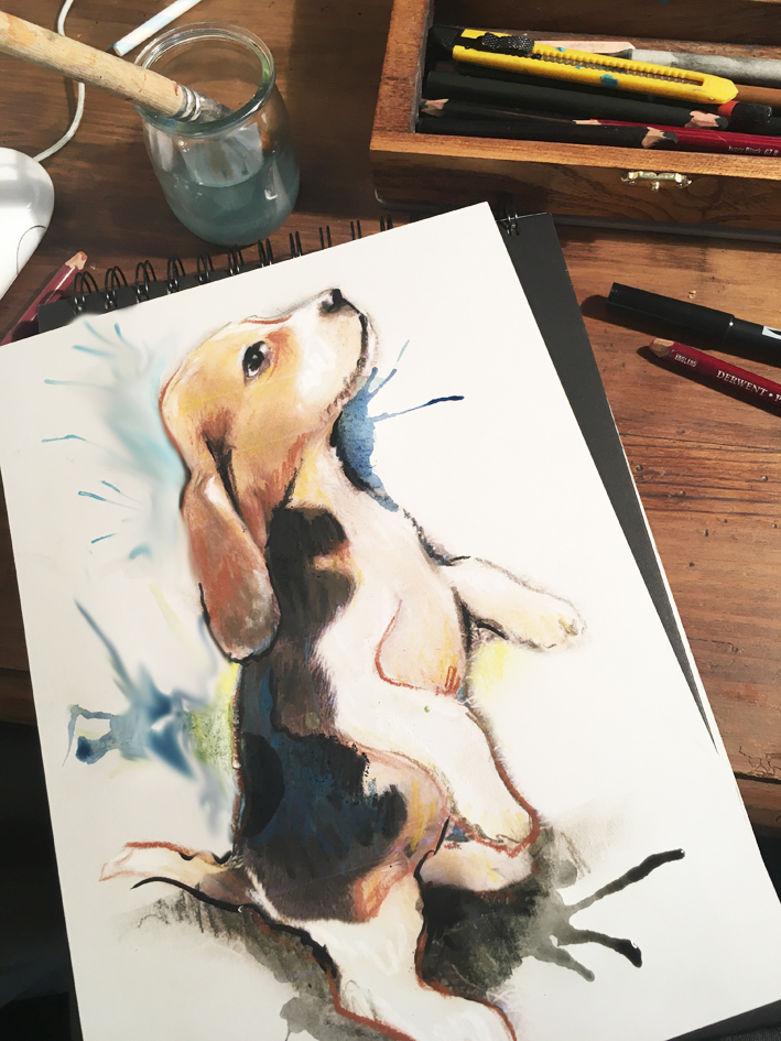 portrait pastel et encre portrait animalier de chien envoyé sur Bordeaux
