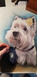 commander un portrait dessin au pastel chien par Boris Lamy dessinateur (...)