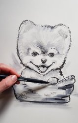 caricature_bebe_chien_chot_dessin_humoristique_caricaturiste_toulouse_bordea (...)