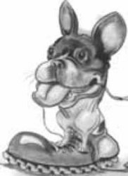Chien_illustration