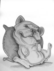 Dessin humoristique Chien