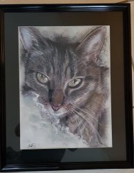 portrait au pastel couleur de chat par le portraitiste boris (...)