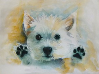portrait de chien aquarelle d apres photo