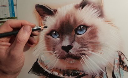 portrait animalier dessin de chat au pastel et fusain