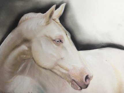 portrait animalier cheval fusain et pastel sur commande en ligne d apres photo