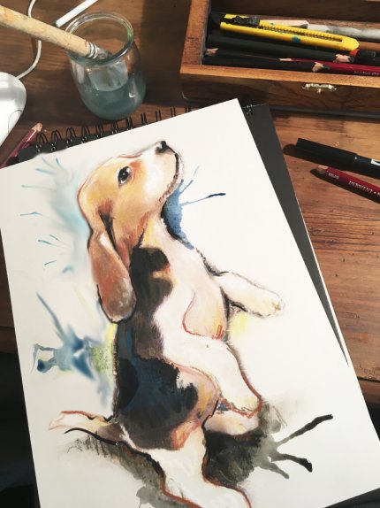 portrait pastel et encre portrait animalier de chien envoyé sur Bordeaux