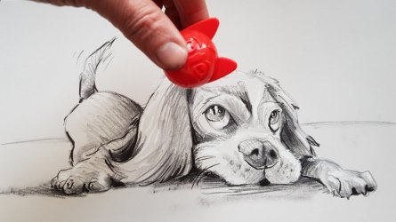 caricature petit chot dessin noir et blanc en situation sur photo (...)