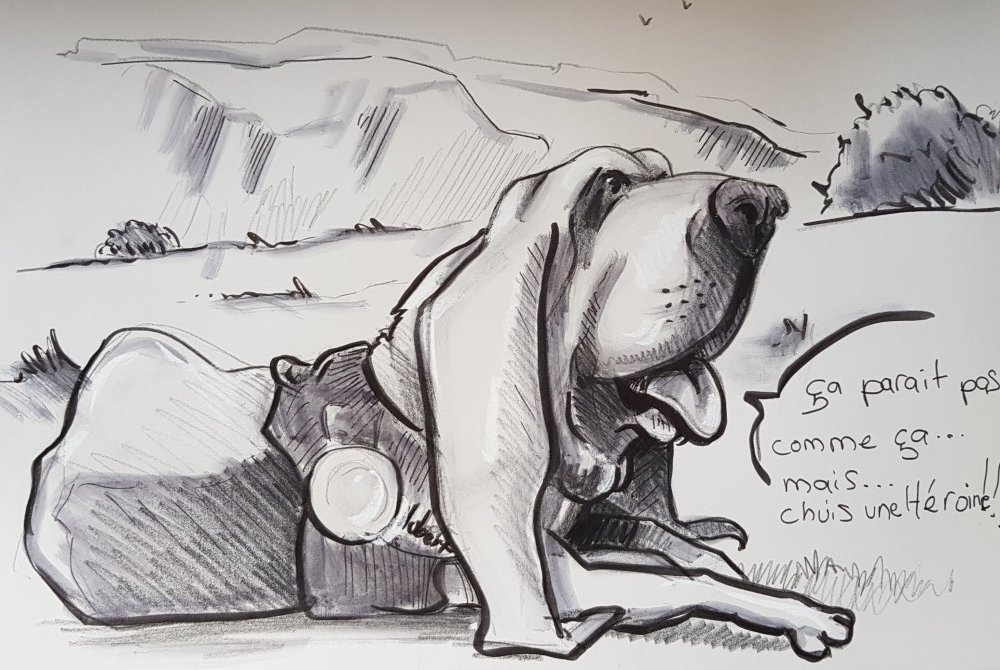 caricature de chien rigolo illustration animaliere caricature portraitiste toulouse bordeaux tarif a partir de 5 € devis gratuit sur le site